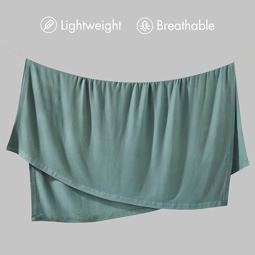100% Certified Egyptian Cotton Blanket