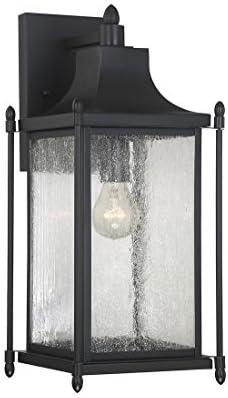 Dunnmore 1-Light Outdoor Wall Lantern in Black