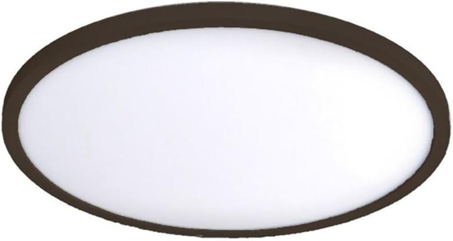 Simple Circle Dimmable LED Flush Mount Light