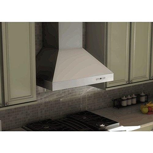 ZLINE ZLINE 48 in. Professional Ducted Wall Mount Range Hood in Stainless Steel (667-48)