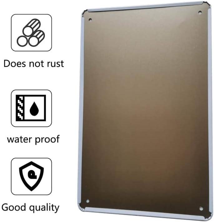 Retro Pilot Knowledge Metal Signs Vintage Airplane Decor For Home Aviation Art Wall Decor Air Plane Decorations For Boys Room Signs Gifts For Aviation Lovers WWII Posters