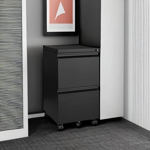 2 Drawer File Cabinet on Wheels, Home Office Mobile Under Desk with Lock, Vertical Files Drawers for Legal/Letter/A4