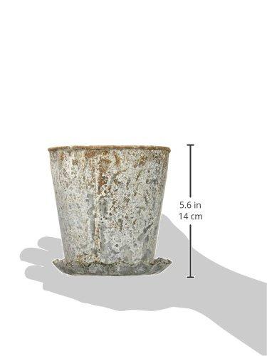 Creative Co-Op Distressed Metal Pot with Pleated Saucer (Set of 2 Pieces)