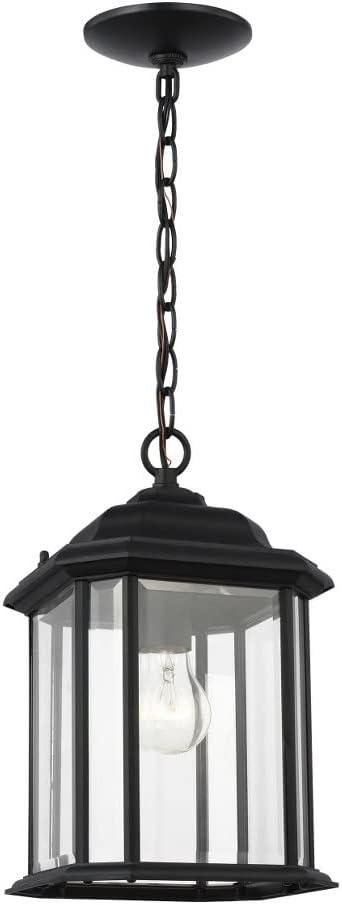 Black Clear Glass Outdoor Pendant Light with LED Option