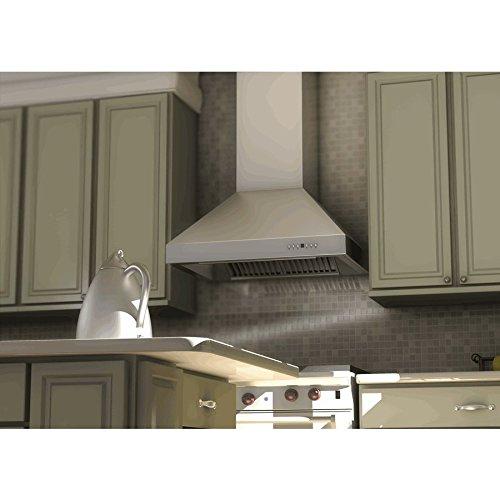 ZLINE ZLINE 48 in. Professional Ducted Wall Mount Range Hood in Stainless Steel (667-48)