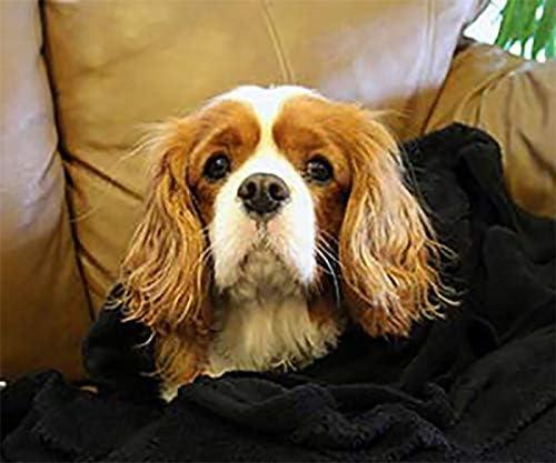 Threadart Super Soft Ultra Plush Fleece Throw Blankets 50"x60" | Fuzzy Soft Cozy Microfiber | Light Pink | 11 Colors available