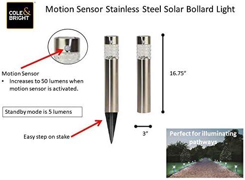Stainless Steel Bollard Light