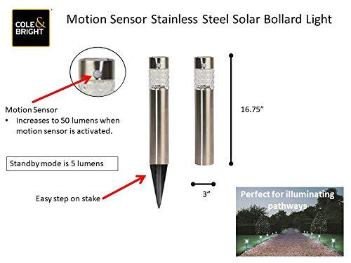 Stainless Steel Bollard Light