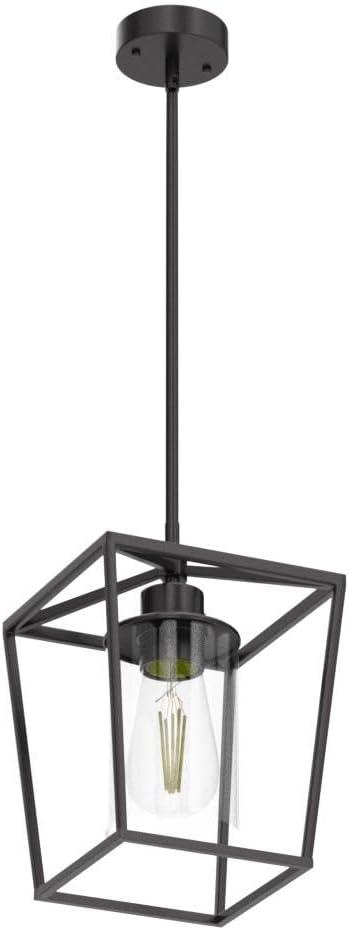 Black Iron Cage Pendant Light with Clear Glass Shade