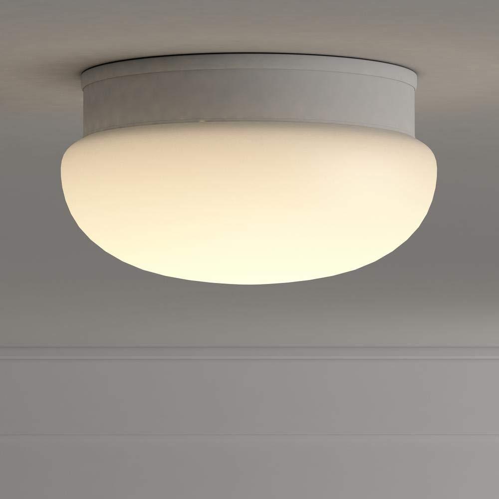 Progress Lighting, Fitter Collection, 2-Light Flush Mount, Brushed Nickel, White Glass Bowl