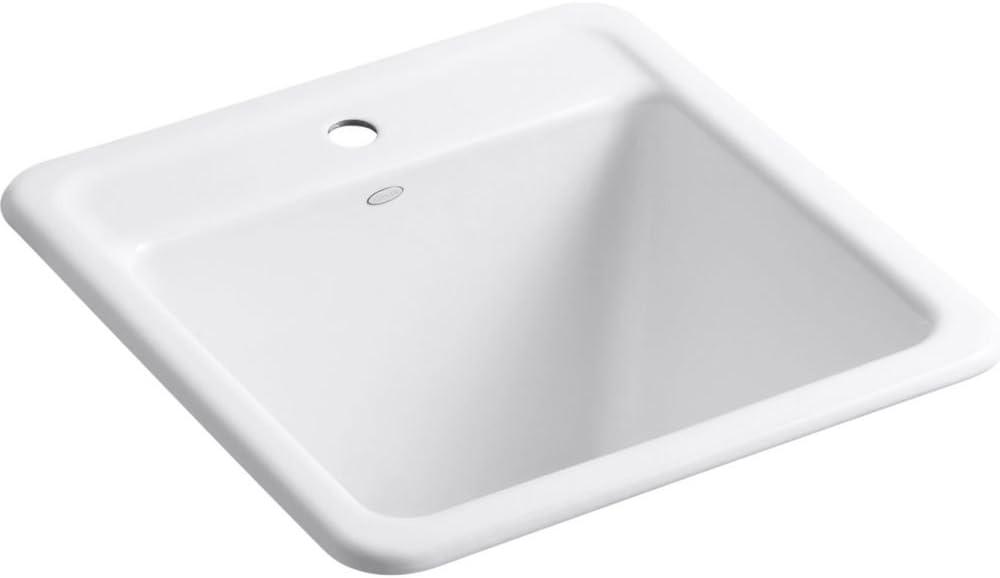 Park Falls 22" L x 21" W Service Sink