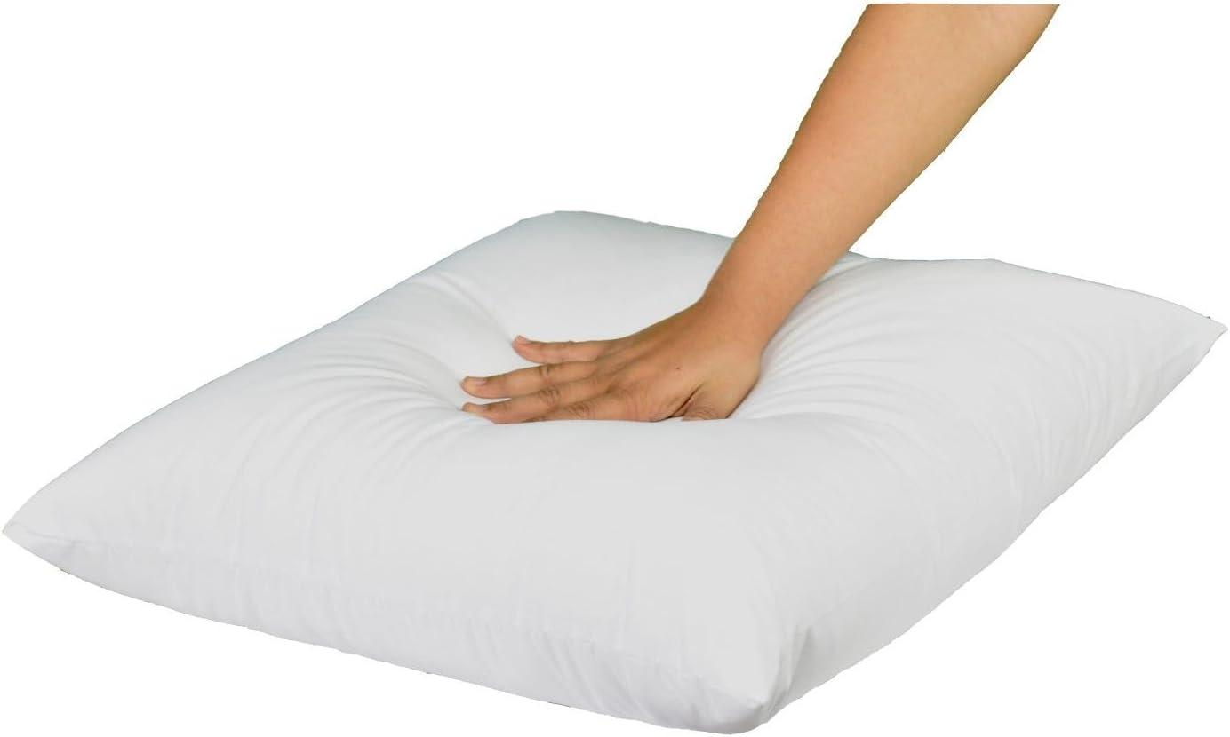 Throw Pillow Insert (Pack of 1) Hypoallergenic Square Pillows Filler | Premium Cushion Form | Decorative Sham Stuffer for Bed Couch Sofa | 100% Microfiber Polyester