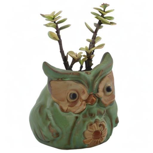 Ogrmar 6Pack Owl Plant Window Boxes Cute Owl Flower Pot/Modern Ceramic Succulent Planter Pots/Tiny Flower Plant Containers Animal Decor