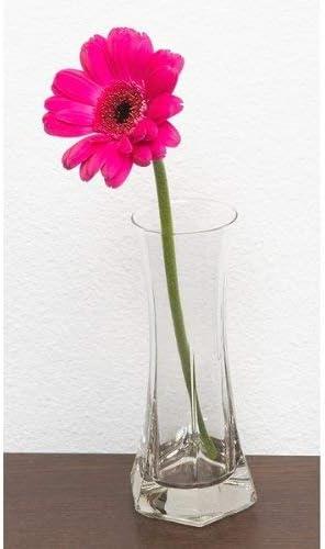 Bormioli Rocco Capitol Flower Bud Vase, Gift Boxed