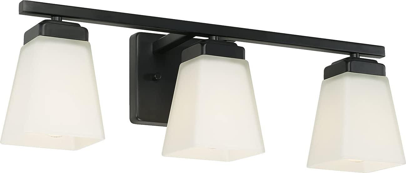 Red Barrel Studio® Sweeney 3 - Light Dimmable Vanity Light