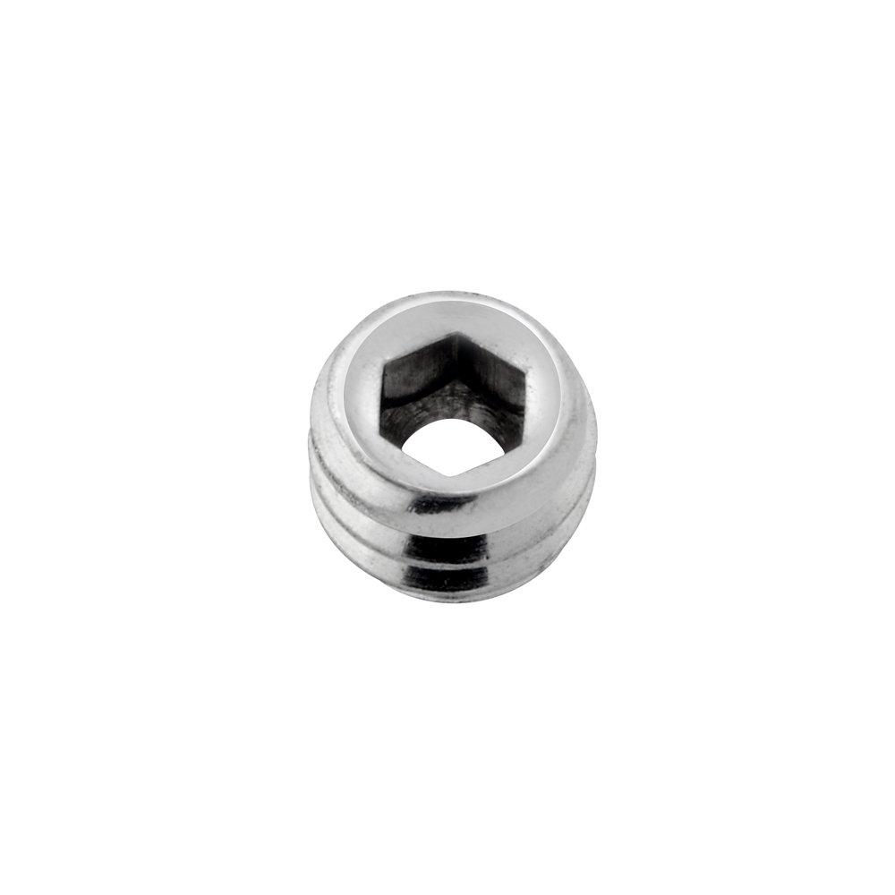 Stainless Steel Hex Drive Set Screw 2-Piece Pack