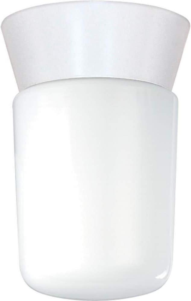 Wrought Studio™ Olmos 1 - Bulb Outdoor Flush Mount