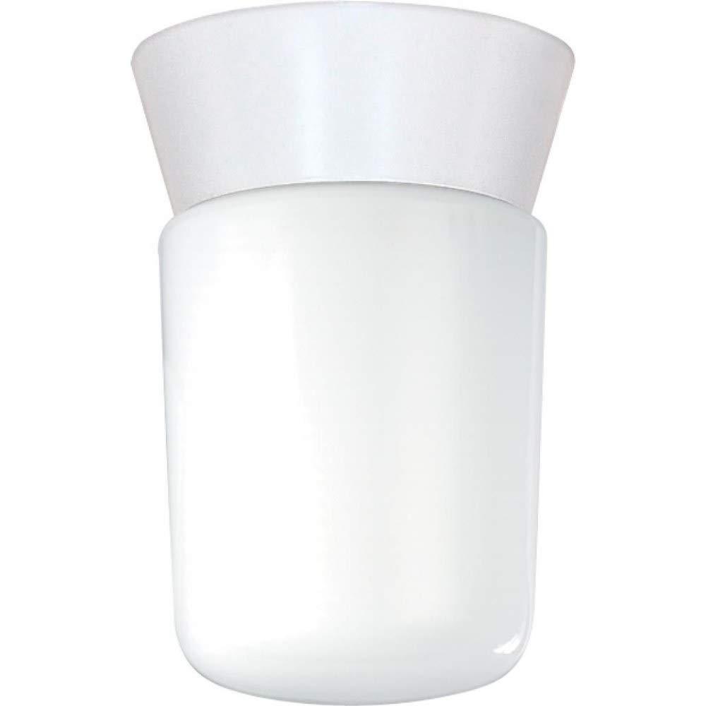 Wrought Studio™ Olmos 1 - Bulb Outdoor Flush Mount