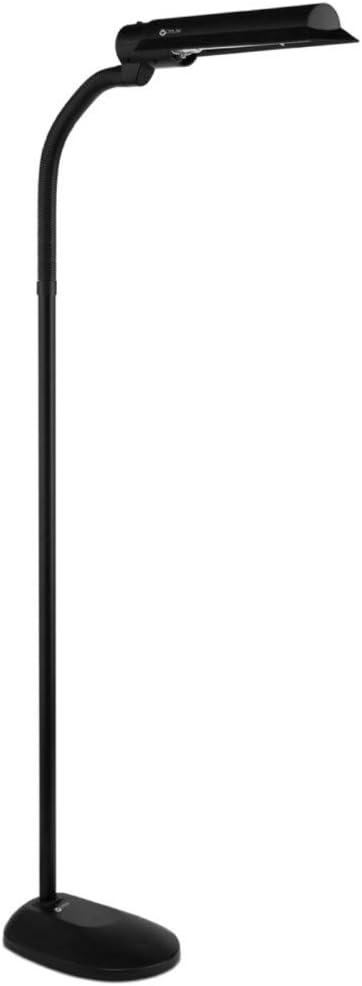 62'' Black LED Traditional Floor Lamp