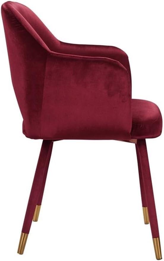ACME Applewood Velvet Upholstered Accent Chair in Bordeaux Red and Gold