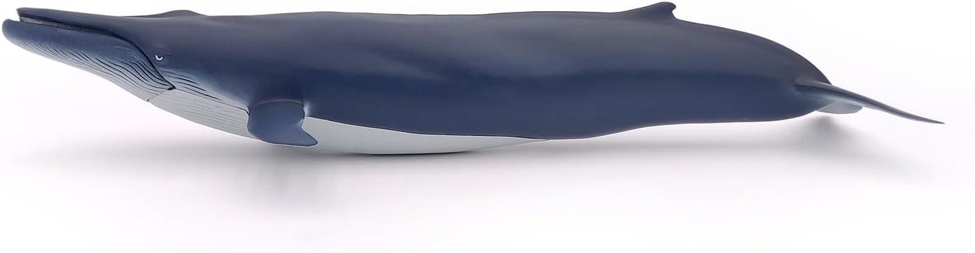 Papo - Blue Whale - Figurine Marine Animals - 3 Years Old - Cetaceans and Marine Mammals - Hand Painted - Durable Educational Toy - 38,5 x 17 x 7,5 cm - Children's Toy - Gift Idea - Blue Whale Toy