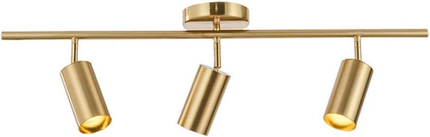 Adjustable 3-Light Brushed Brass LED Ceiling Spotlight