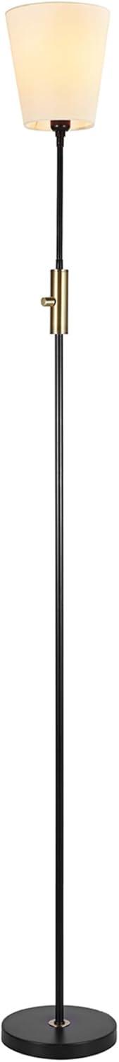 Matte Black Adjustable Arc Floor Lamp with Brass Accents