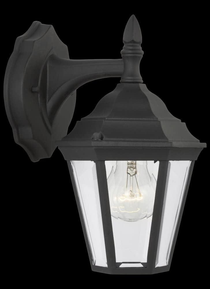 Black Clear Beveled Glass Outdoor Wall Sconce