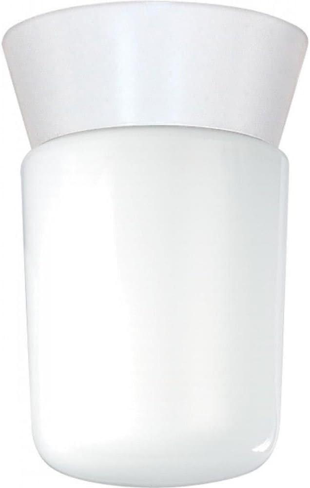 White Aluminum Outdoor Flush Mount Light with Glass Shade