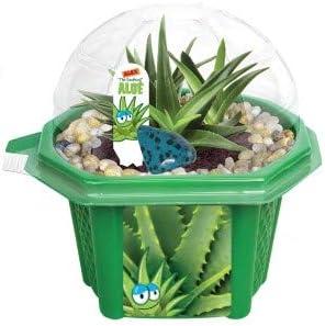 TOYS BY NATURE Grow Your Own Aloe Plant - Fun and Easy to Grow Alex â€˜The Soothingâ€™ Aloe - Kids Terrarium Kit Includes Everything Needed to Grow Aloe Plants - Just Add Water