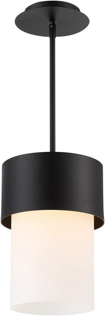 Napa Black 12" LED Cylinder Pendant for Indoor/Outdoor Use