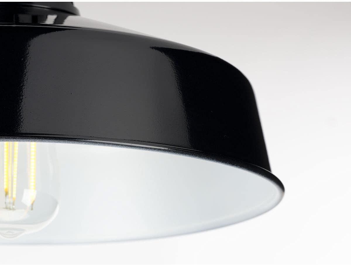 Progress Lighting Cedar Springs 1-Light Ceiling Light, Black, White Shade