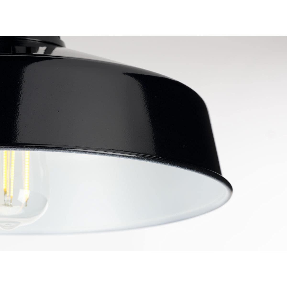 Progress Lighting Cedar Springs 1-Light Ceiling Light, Black, White Shade