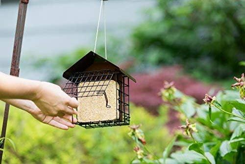 MEKKAPRO Suet Feeder with Hanging Metal Roof, Two Suet Capacity.