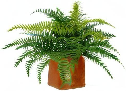 Yancey 12'' Faux Fern Plant in Terracotta Planter