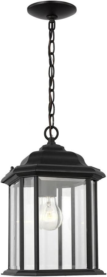 Black Clear Glass Outdoor Pendant Light with LED Option