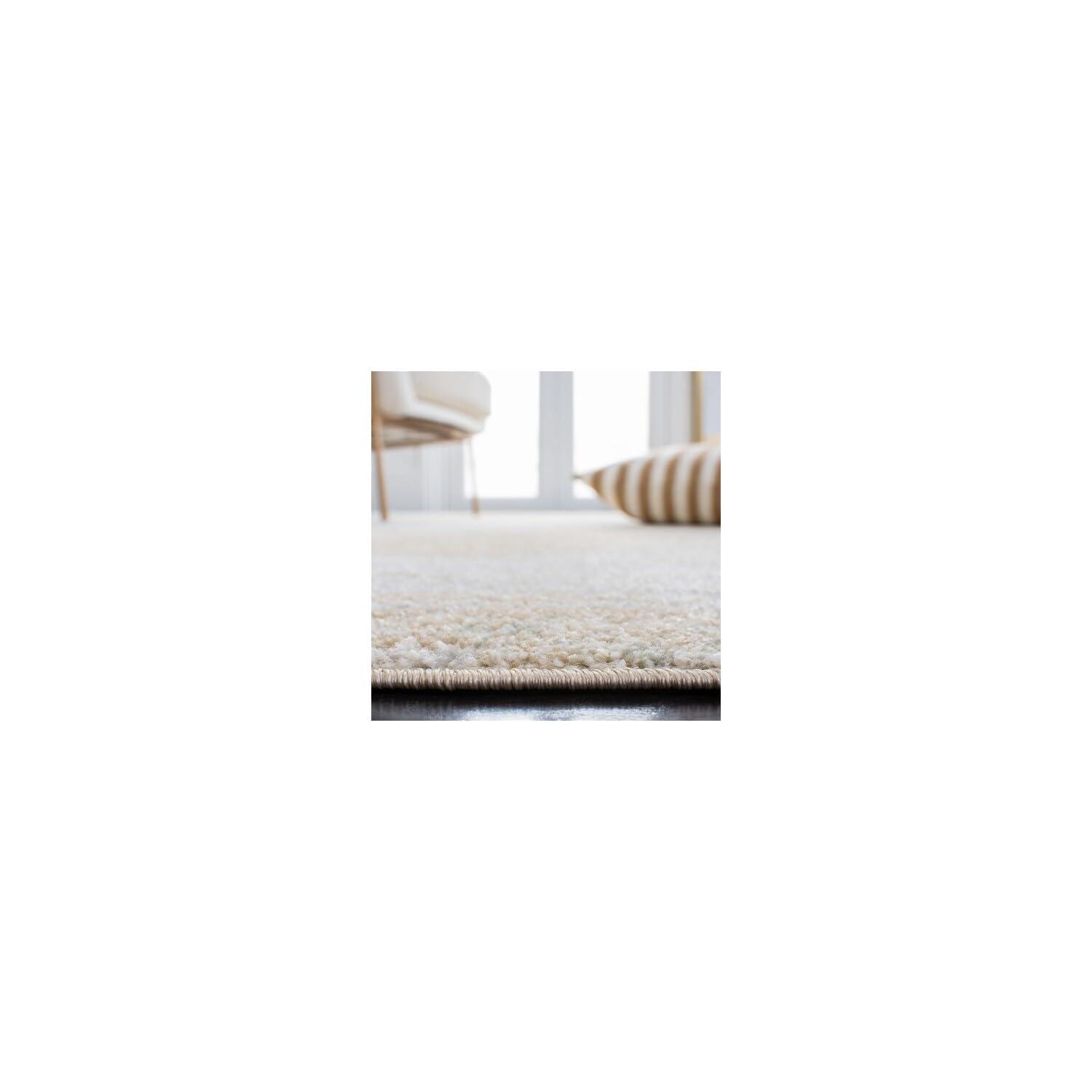 Coleraine Performance Abstract Rug