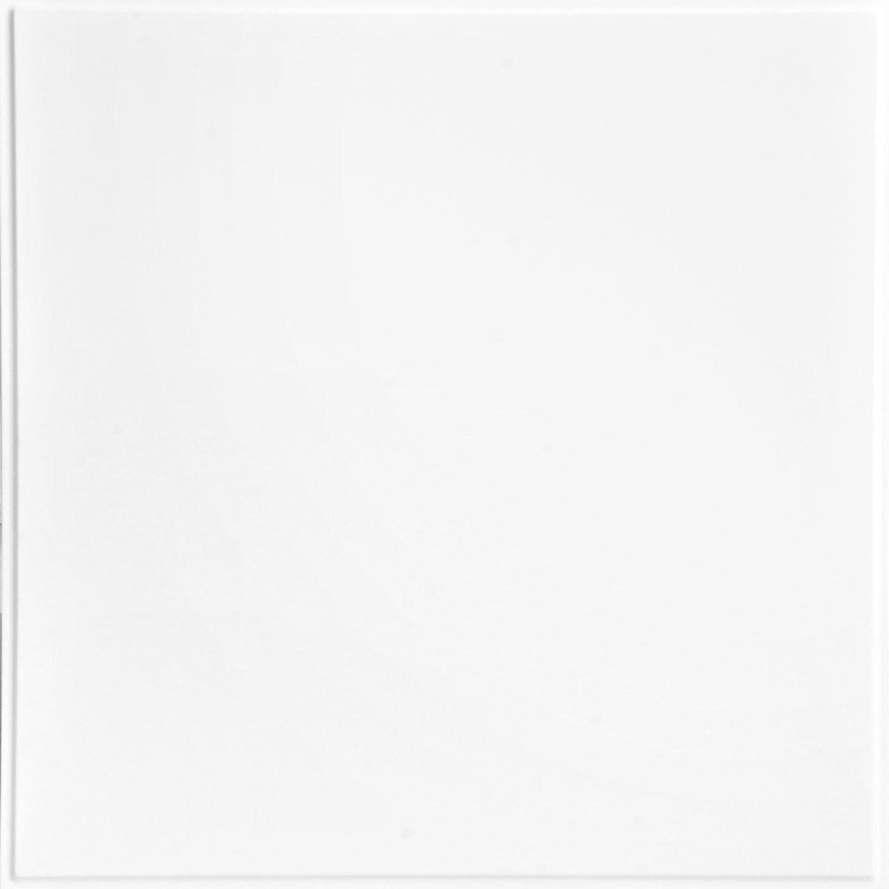 Smooth Gloss White 24" x 24" PVC Ceiling Tile