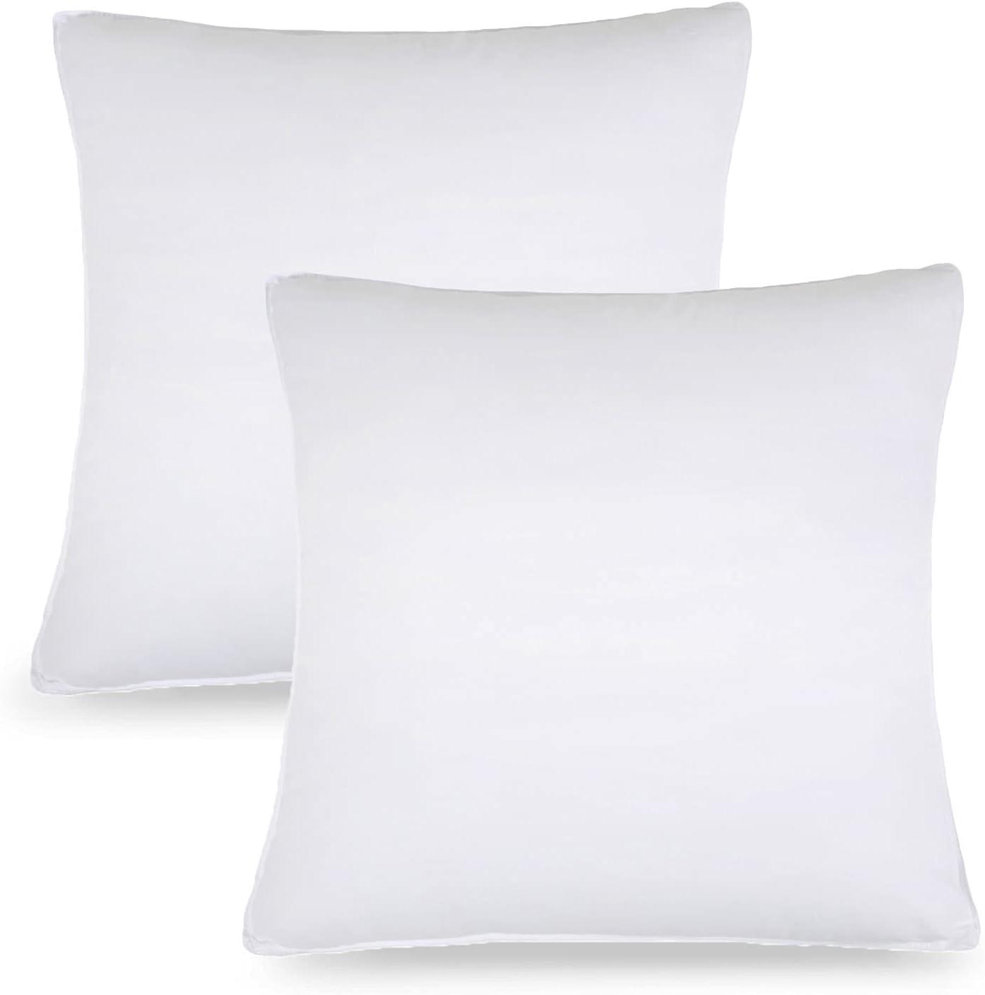 White Hypoallergenic Polyester Euro Pillows, Set of 2