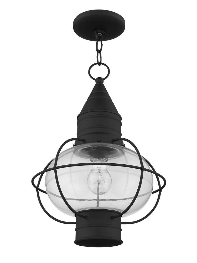 Aster Outdoor Hanging Lantern