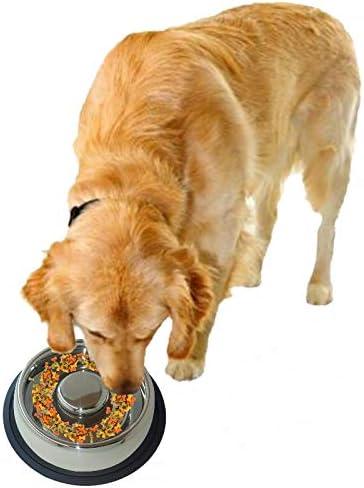 Large Stainless Steel Slow Feed Dog Bowl with Blue Base