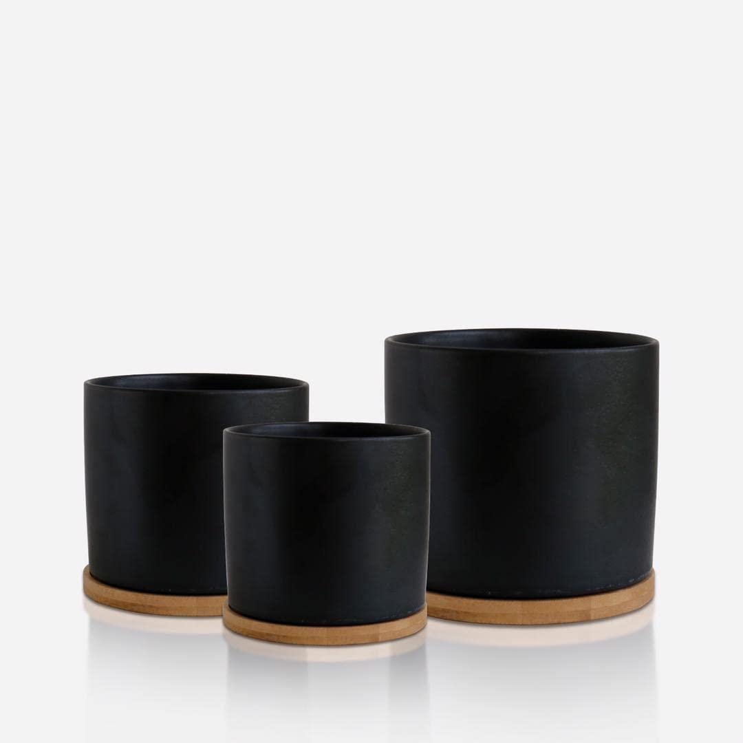 Olly & Rose Black Set 3 Ceramic Plant Pots with Bamboo Coasters Indoor Planters with Saucers