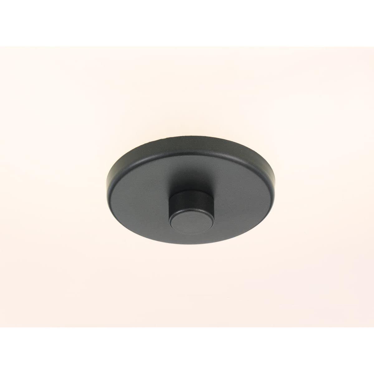 Progress Lighting Inspire Collection 2-Light Semi-Flush Fixture, Graphite Finish, Summer Linen Shade