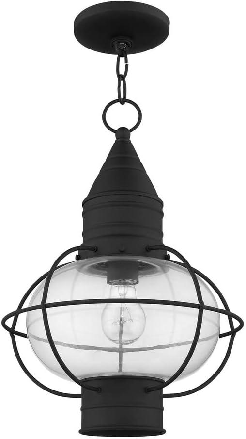 Aster Outdoor Hanging Lantern