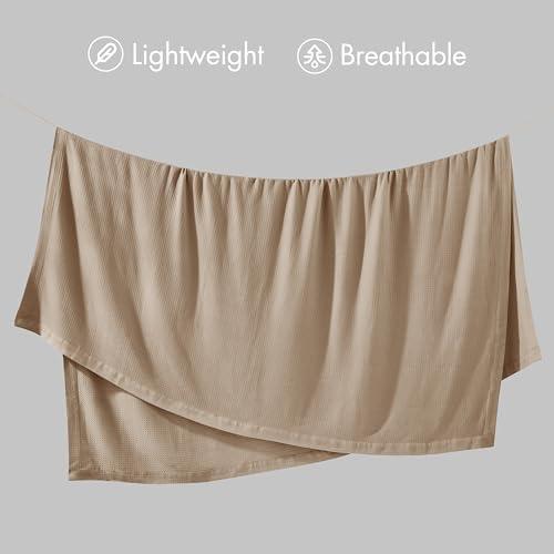 100% Certified Egyptian Cotton Blanket