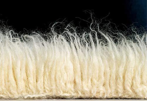 Ebern Designs Aaiden Flokati Wool Shag Hand Loomed Ivory Rug