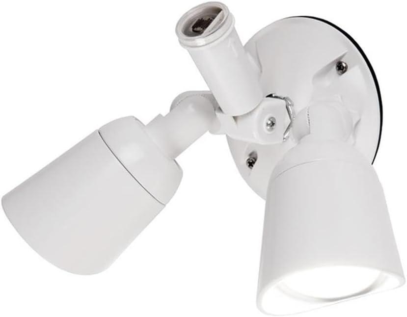 Endurance™ 2 - Head LED Hardwired Outdoor Security Flood Light