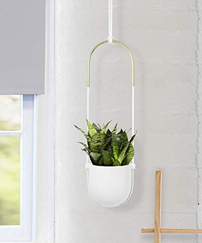 Umbra Bolo Ceramic Hanging Planter