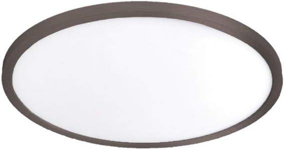 Simple Circle Dimmable LED Flush Mount Light