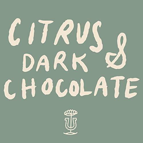 Stumptown Hair Bender Medium Roast Whole Bean Coffee - 12oz